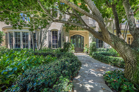 Front Entrance Walkway with Mature Oak Trees Photography | Jupiter, FL